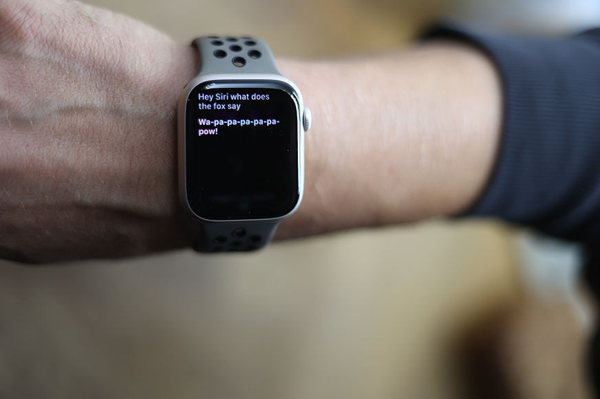 Man sieht Siri auf der Apple Watch 8.